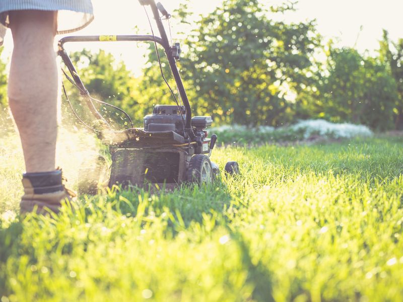 Lawn mowing services Surf Coast