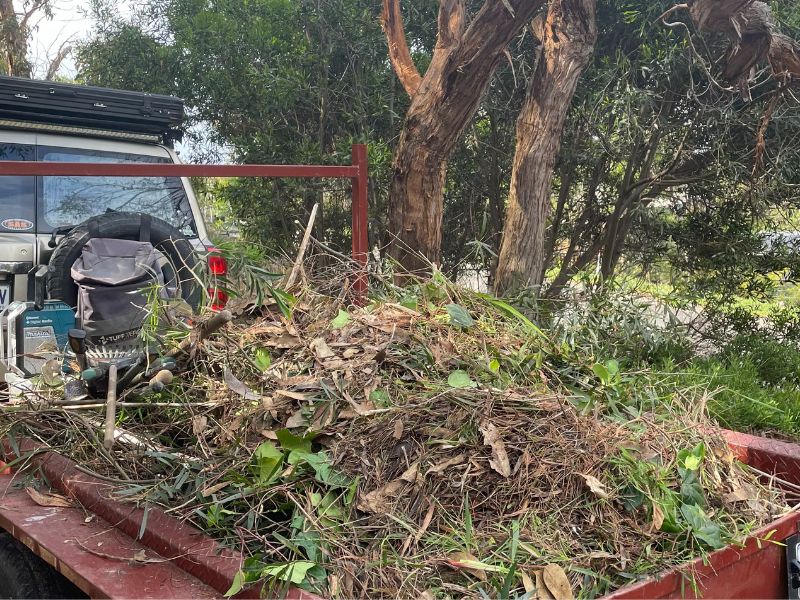 Garden clean up service on the Surf Coast – green waste and debris removed from an overgrown garden.